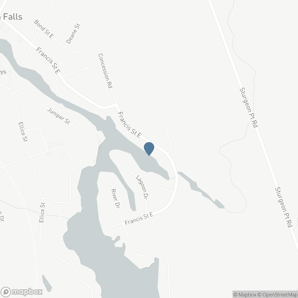 226 FRANCIS STREET E, Fenelon Falls, Ontario K0M 1N0
